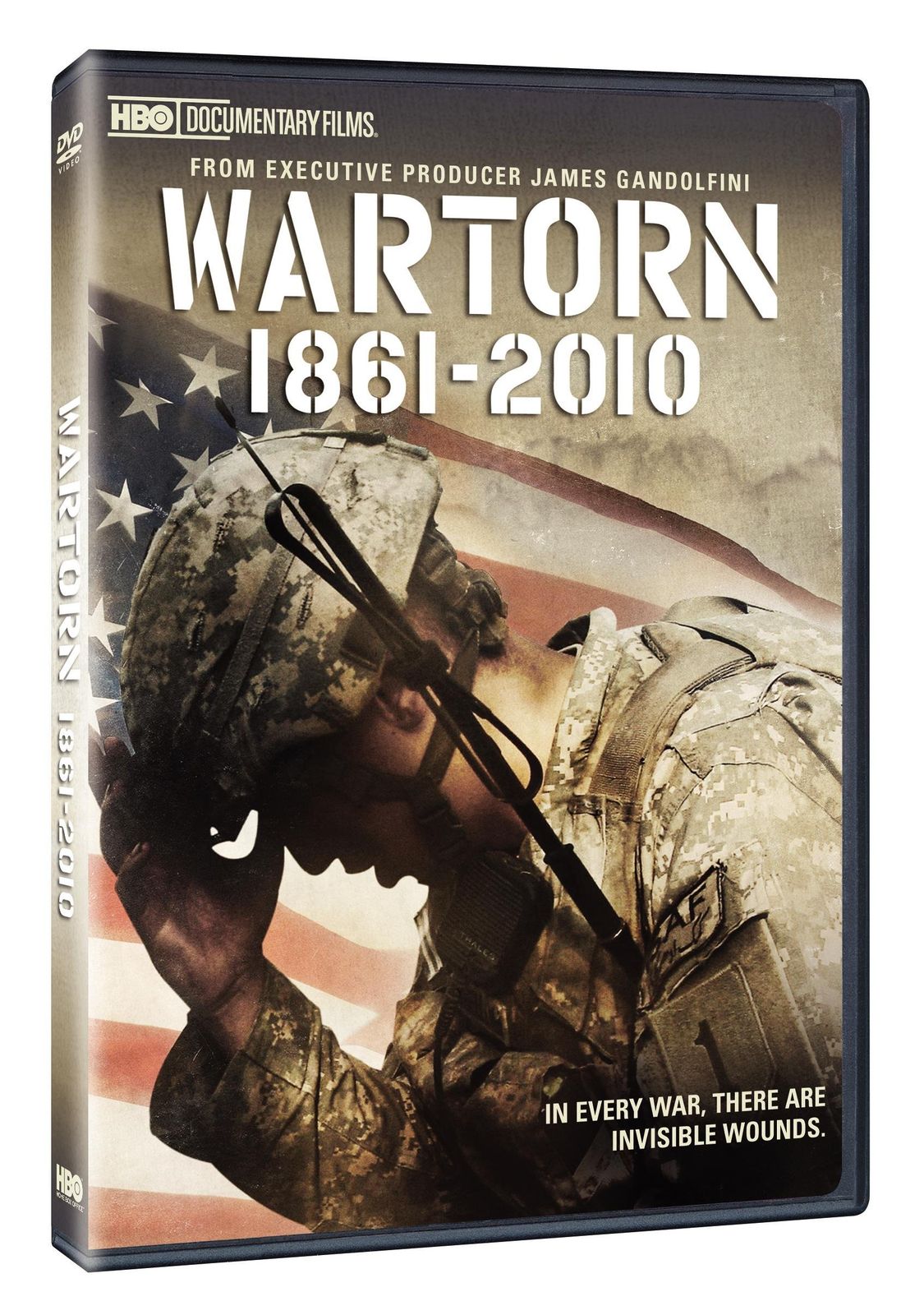 Wartorn 1861-2010 DVD 品