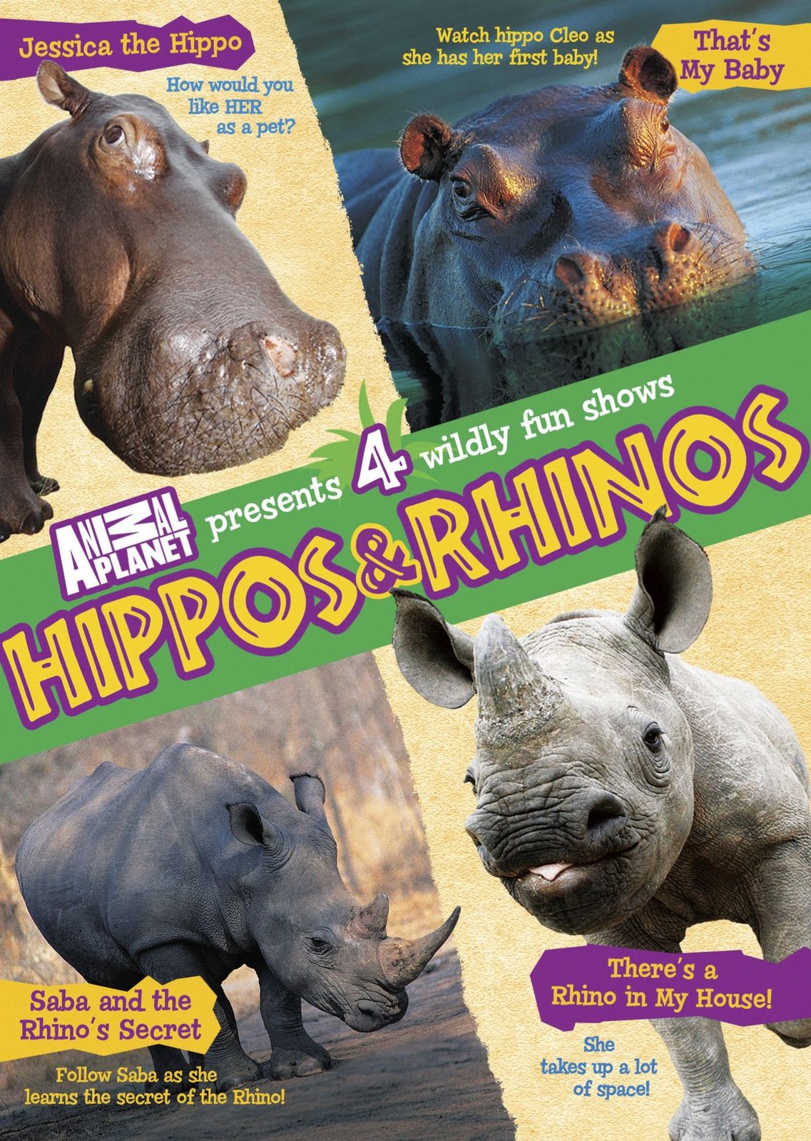 Hippos - Rhinos DVD 品