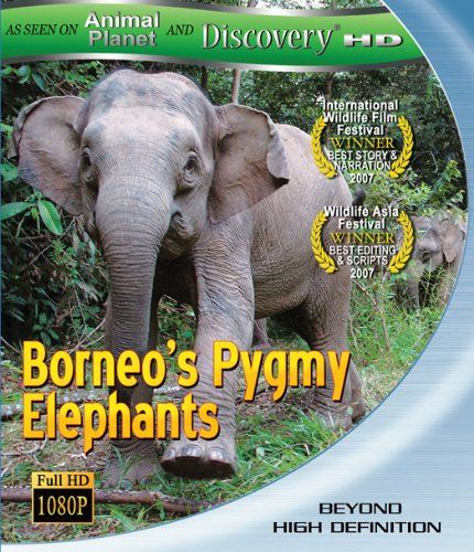 Borneos Pygmy Elephants Blu-ray 品