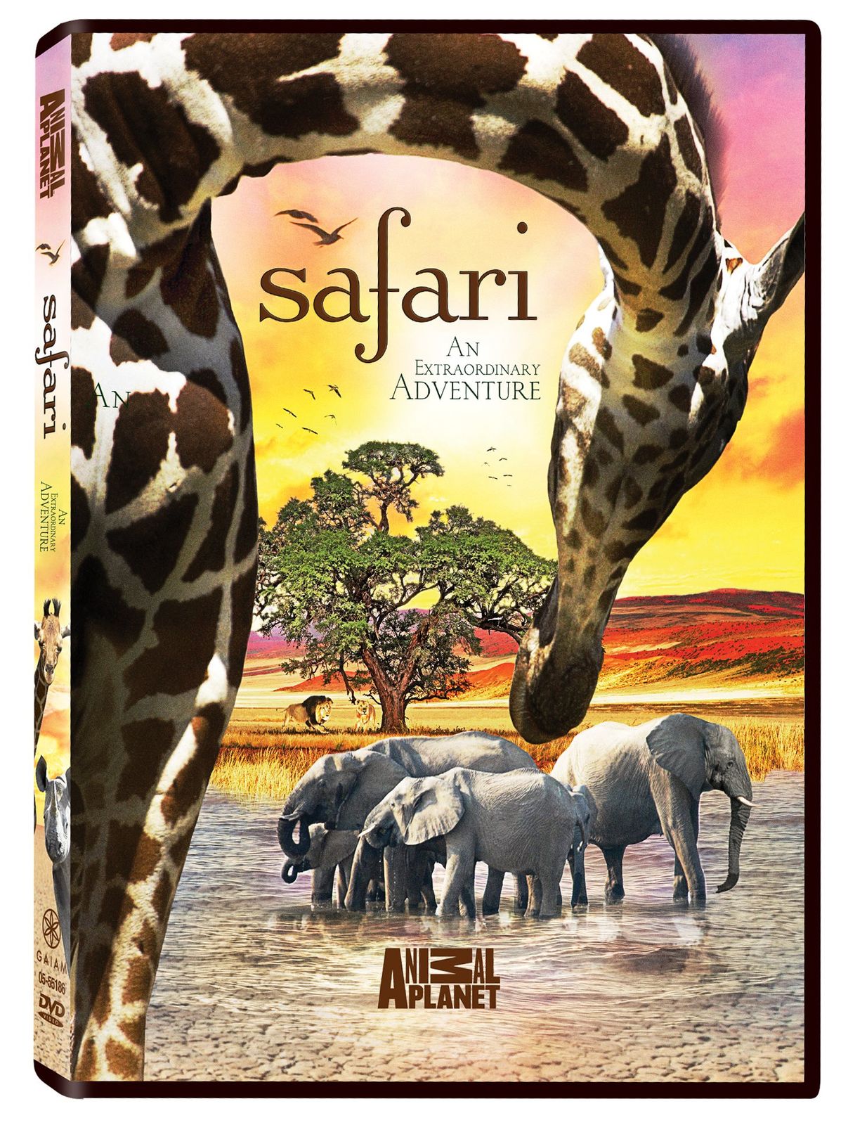 Safari An Extraordinary Adventure DVD 品
