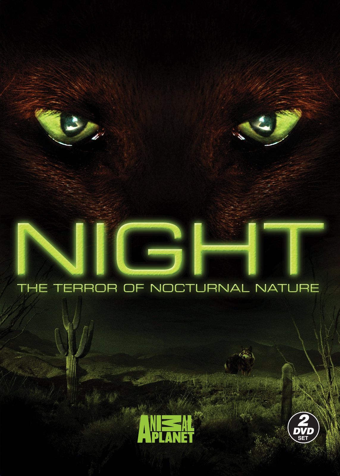Night The Terror of Nocturnal Nature DVD 品