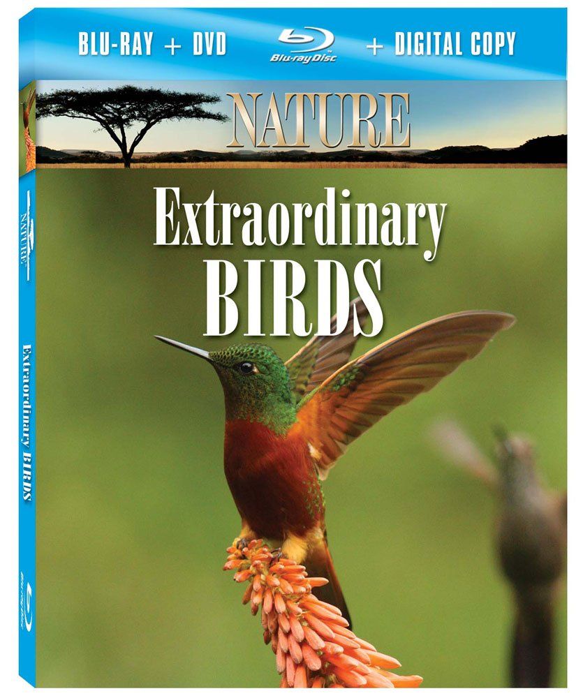 Nature Extraordinary Birds Blu-ray 品