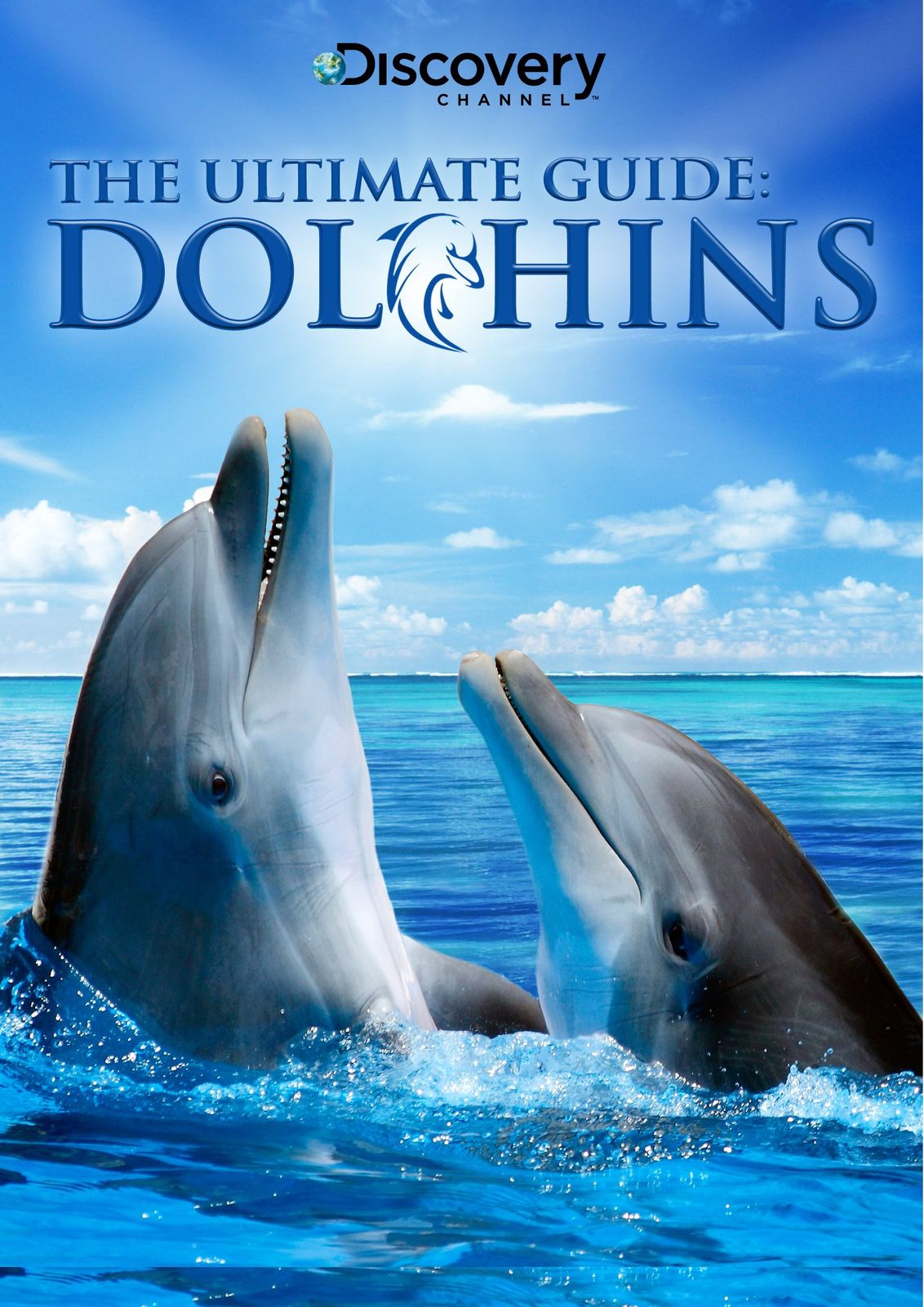 Ultimate Guide Dolphins DVD 品 アニメDVD その他 