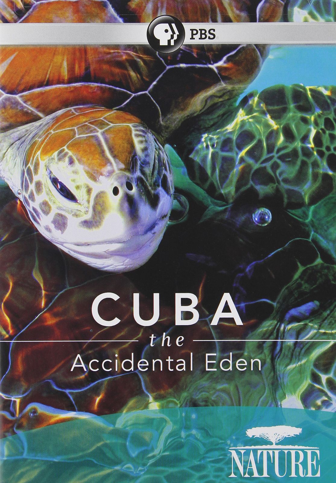 Cuba The Accidental Eden DVD 品