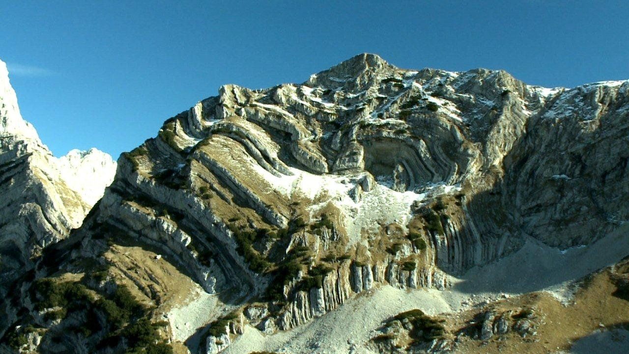 ワイルドライフ DVD-BOX III 品