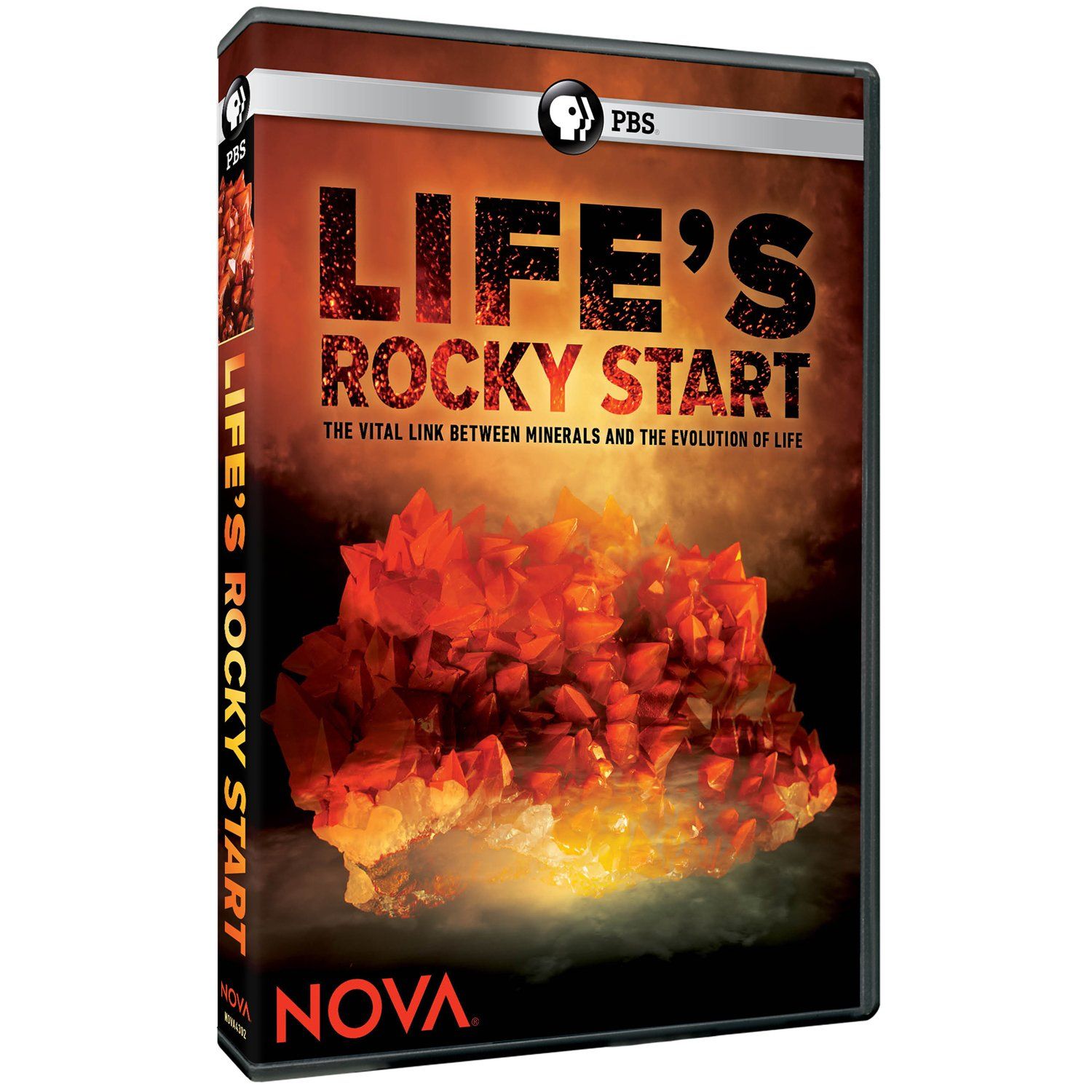 Nova Life s Rocky Start DVD Import 品