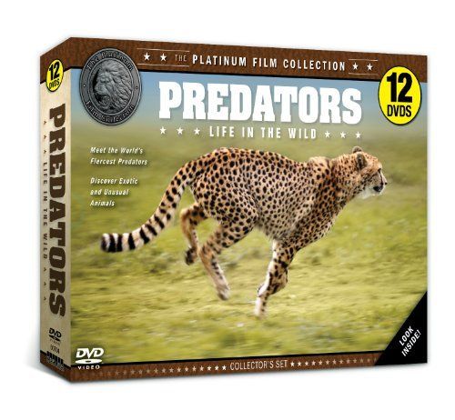 Predators Life in the Wild DVD 品