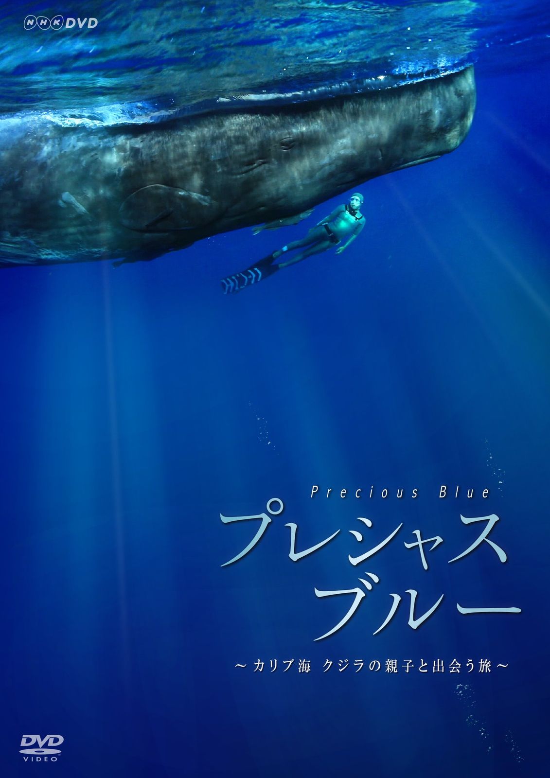 プレシャス ブルー カリブ海 クジラの親子と出会う旅 DVD 品