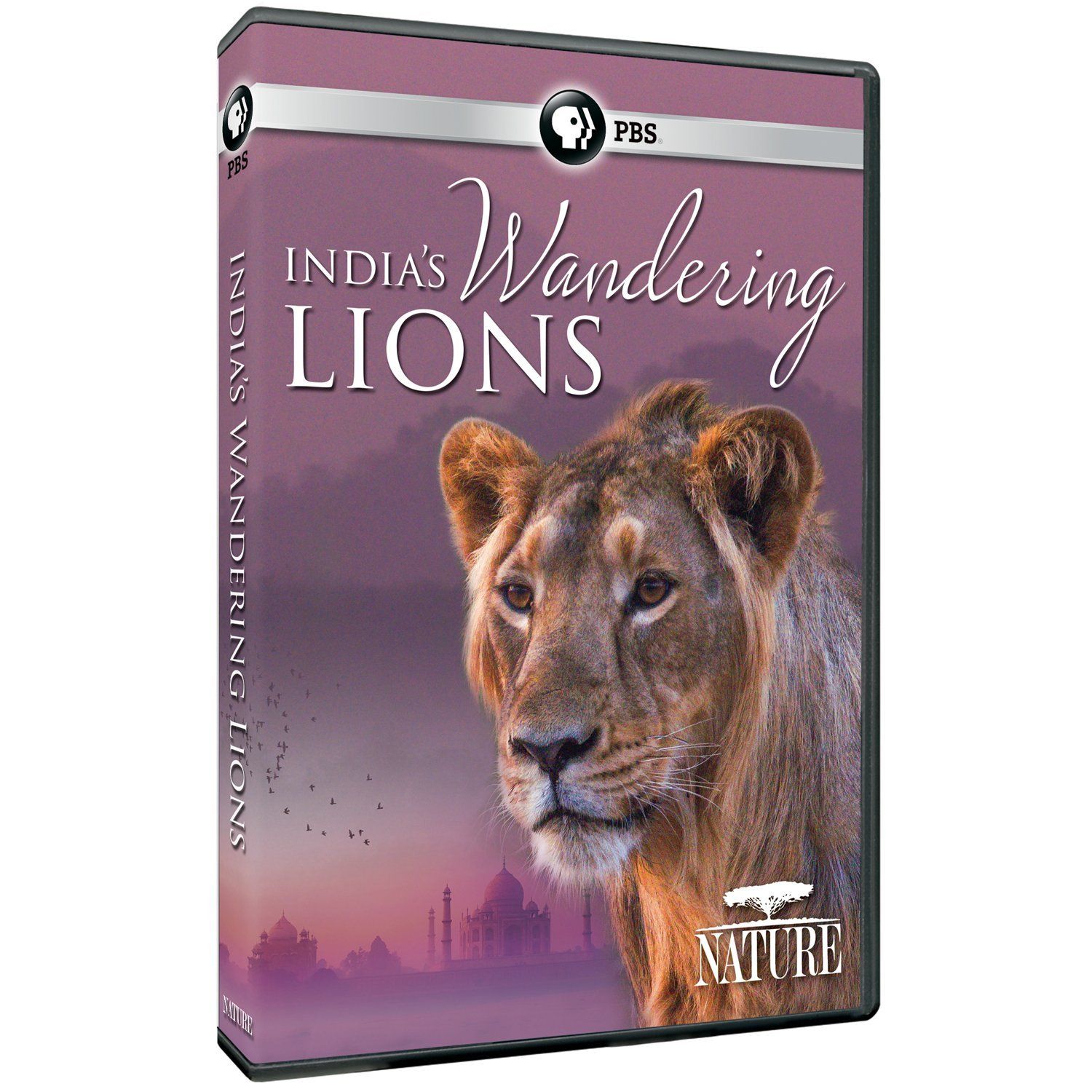 Nature India s Wandering Lions DVD Import 品