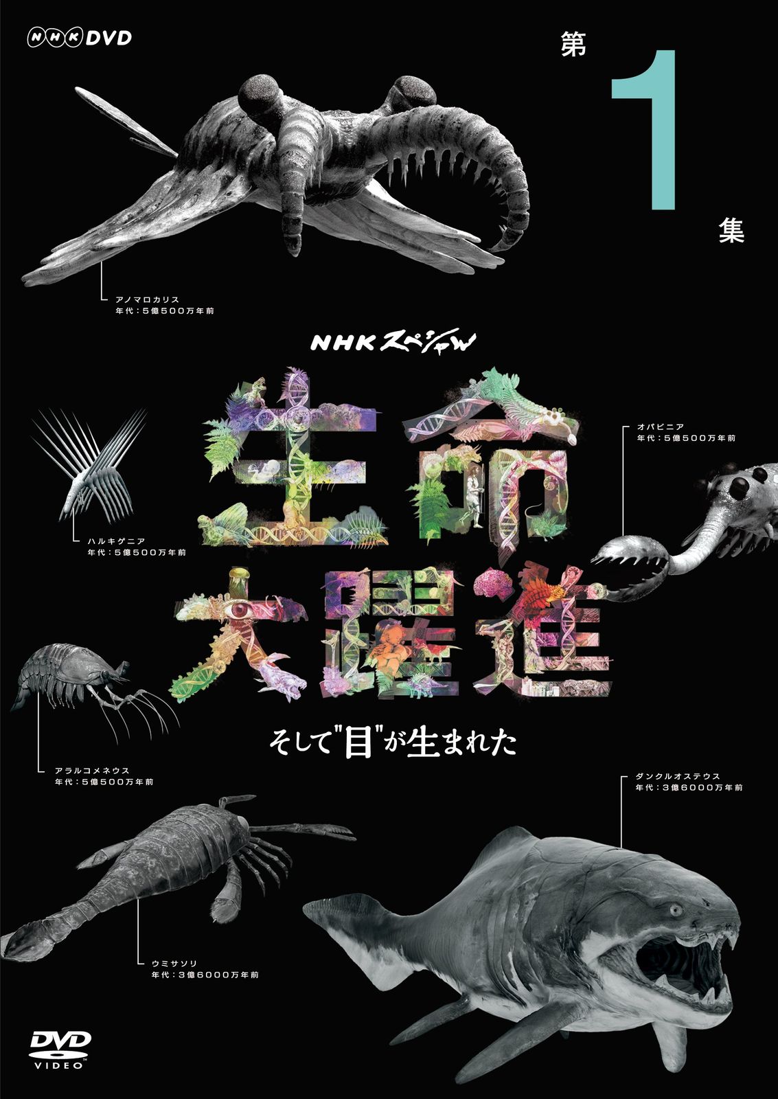 ＮＨＫスペシャル 生命大躍進 第1集 DVD 品