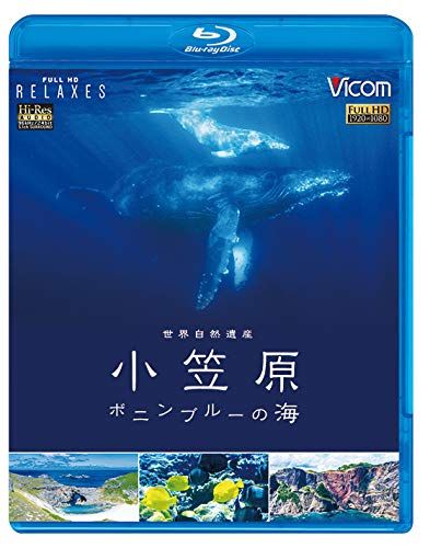 世界自然遺産 小笠原 ~ボニンブルーの海~ Blu-ray Disc 品