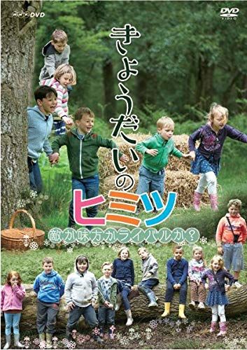 きょうだいのヒミツ~敵か味方かライバルか?~ DVD 品