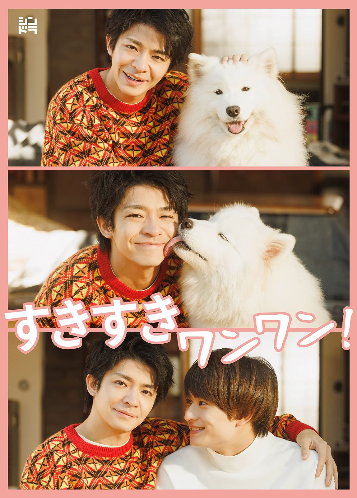 メーカー特典あり すきすきワンワン Blu-ray BOX オリジナル ワン 品