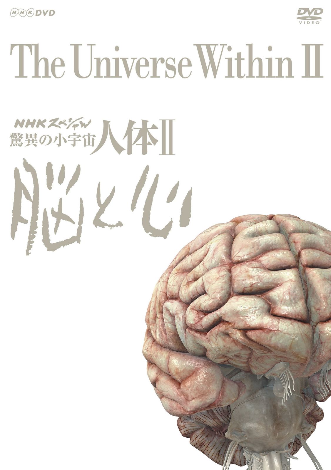 NHKスペシャル 驚異の小宇宙 人体II 脳と心 DVD BOX 新価格 品