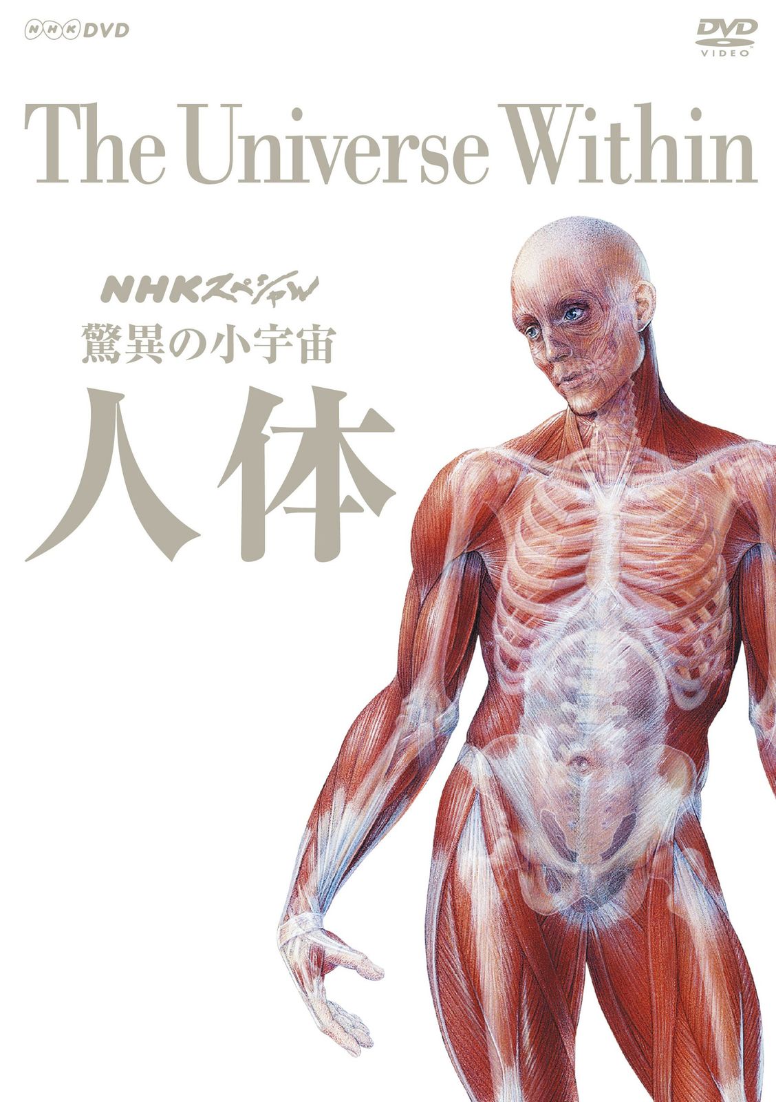 NHKスペシャル 驚異の小宇宙 人体 DVD BOX 新価格 品