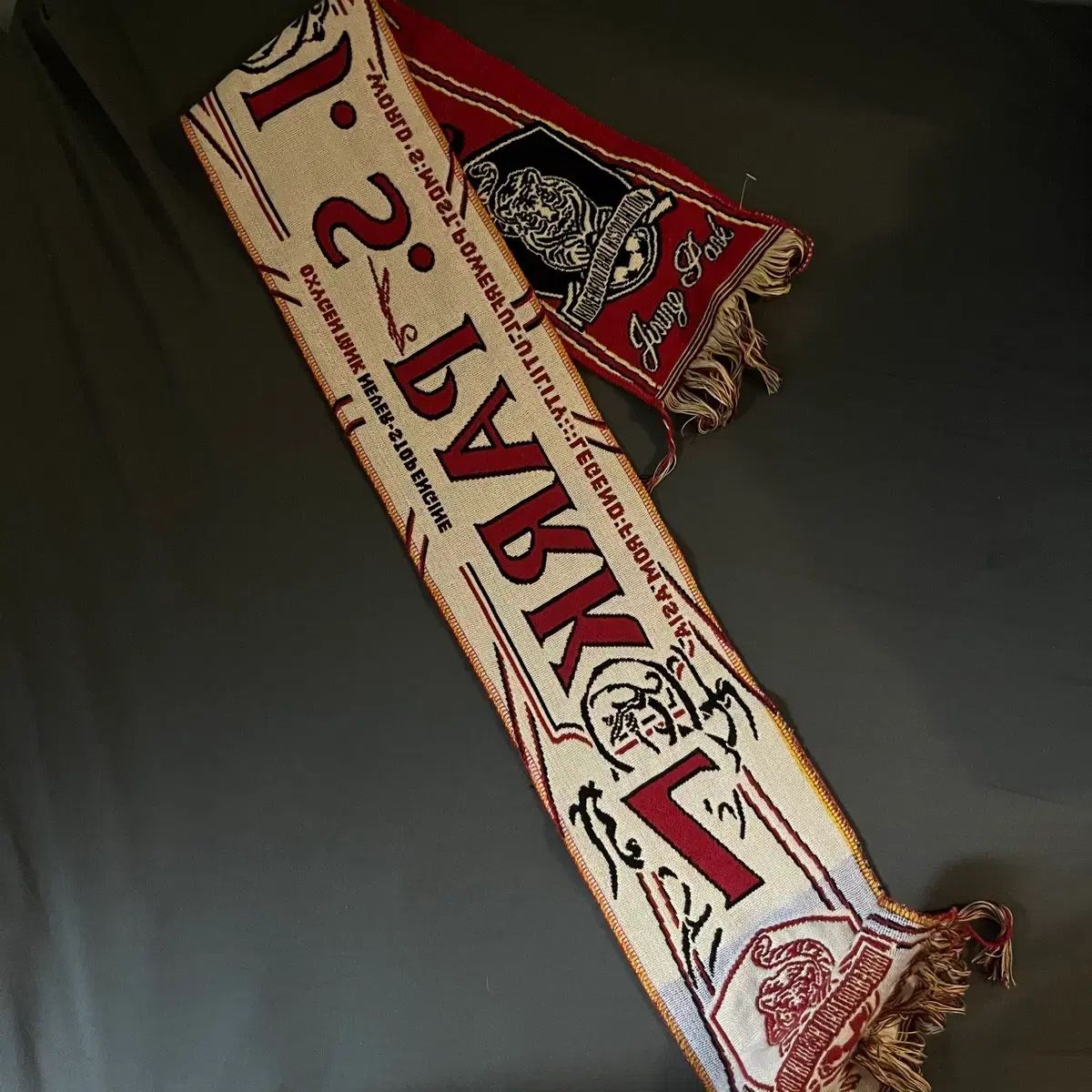 パク チソン JISUNG マフラー 韓国国家代表