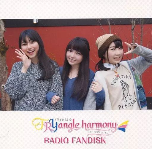 TRYangle harmony RADIO FANDISK まとめ売り 71l78iHgrLL._UF350,350_QL50_.jpg
