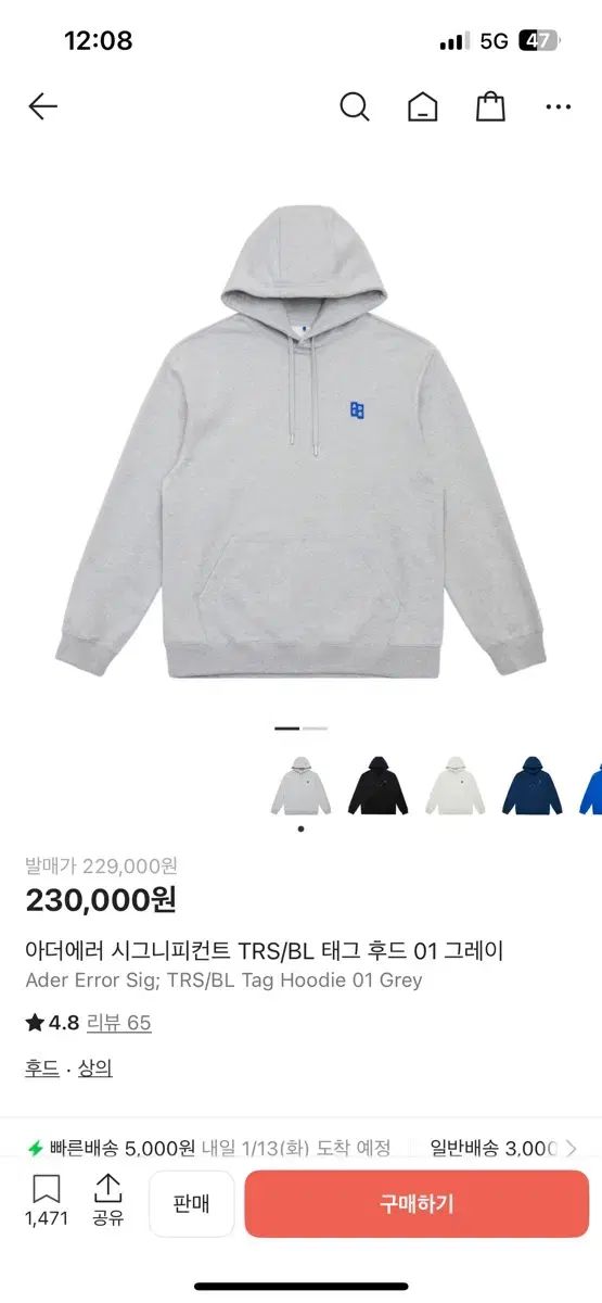 XL ADER ERROR SIGNIFICANT WHO フーディー グレー