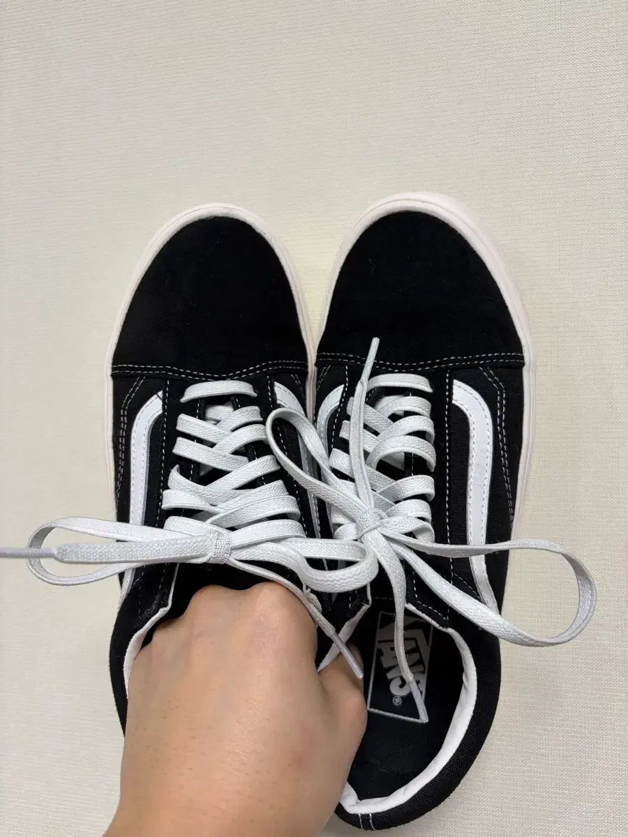 VANS ホバー オールドスクール 260