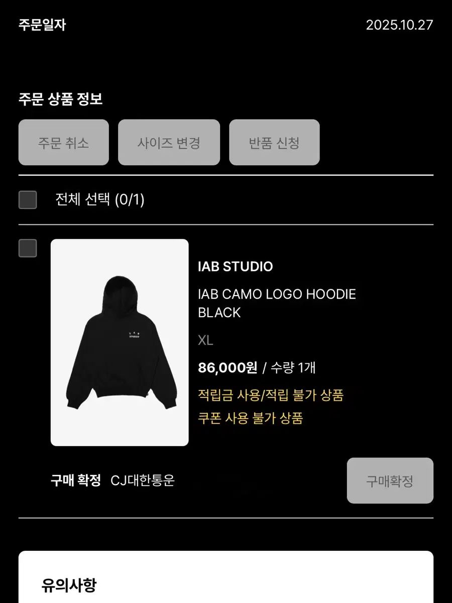 XL IAB Studio カモ フーディー