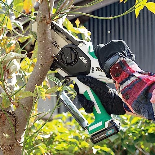 迅速に発送 マキタ Makita 充電式ハンディソー 10.8 V 1.5 Ah バッテリ 充電器付 2 f 725 a 30