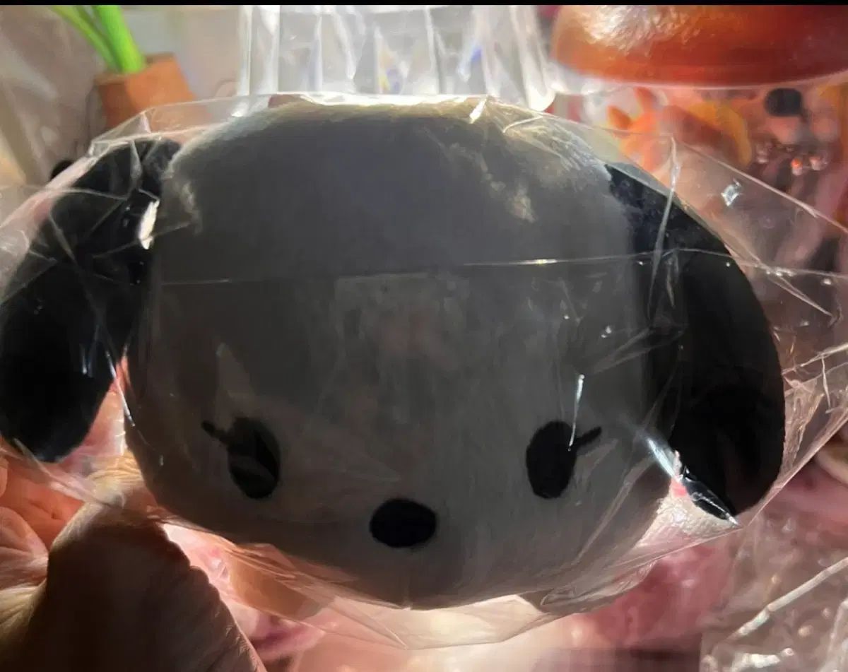 ポチャッコ ぬいぐるみ 新品