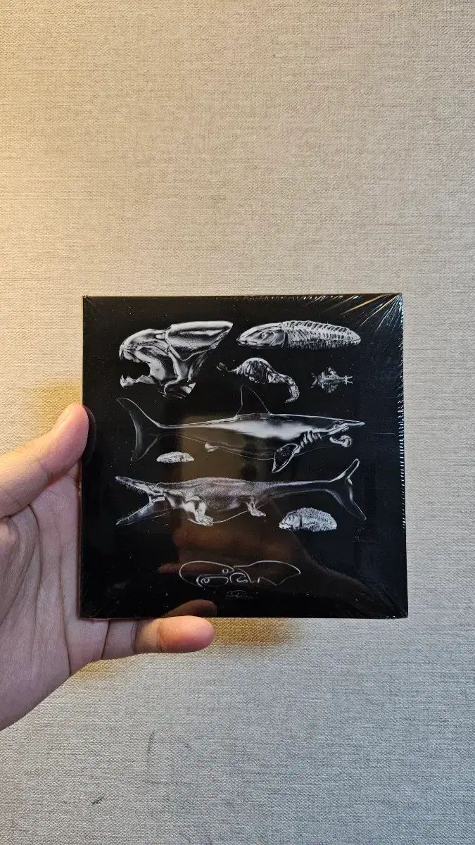 右と左 ポエム POEM 2 CD