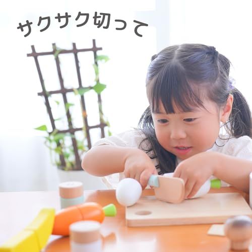 木製 ままごと マグネット 埋め込み式 魚 安全検査適合 サクッと切れるままごと はじめてセット STD f 9 2 999