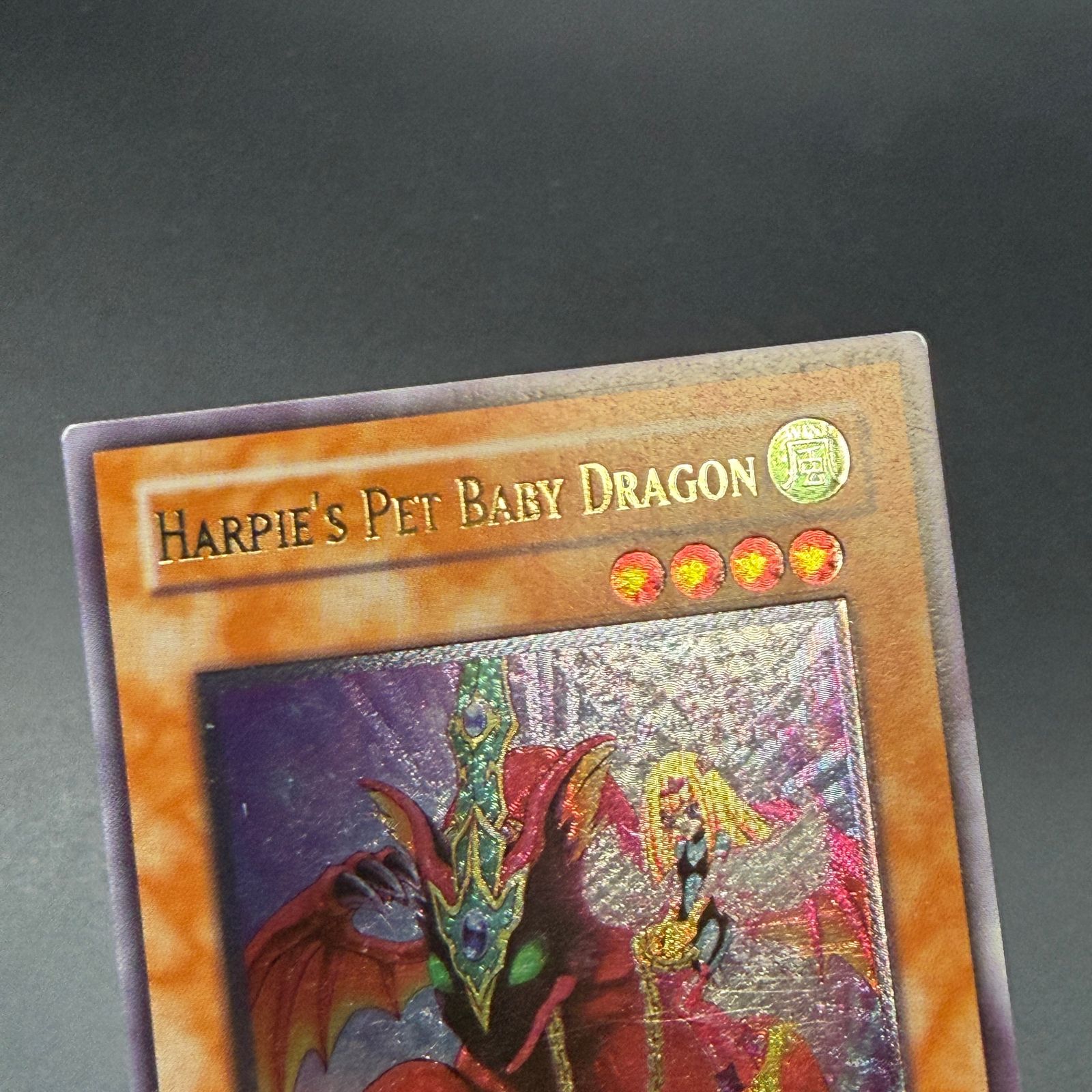 遊戯王 ハーピィズペット仔竜/レリーフ/英語/EU版 B - メルカリ