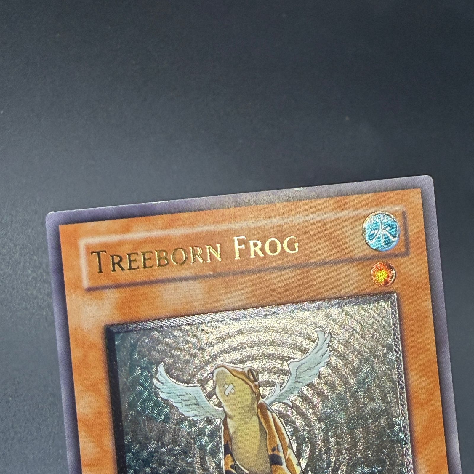 遊戯王 英語 黄泉ガエル アンリミ レリーフ 2枚セット 遊戯王 英語 黄泉ガエル アンリミ レリーフ 2枚セット 2025年最新