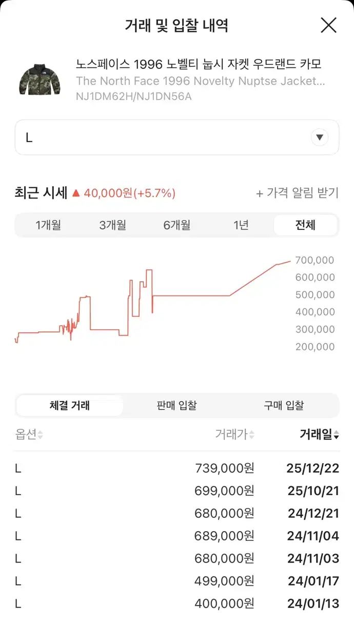 THE NORTH FACE 1996 Nuptse ウッドランド カモ L