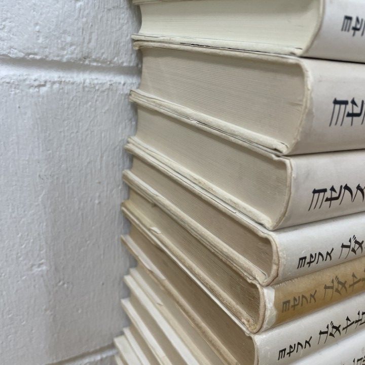 ユダヤ古代誌 全巻、ヨセフスおまけつき ユダヤ古代誌 全巻、ヨセフスおまけつき 本