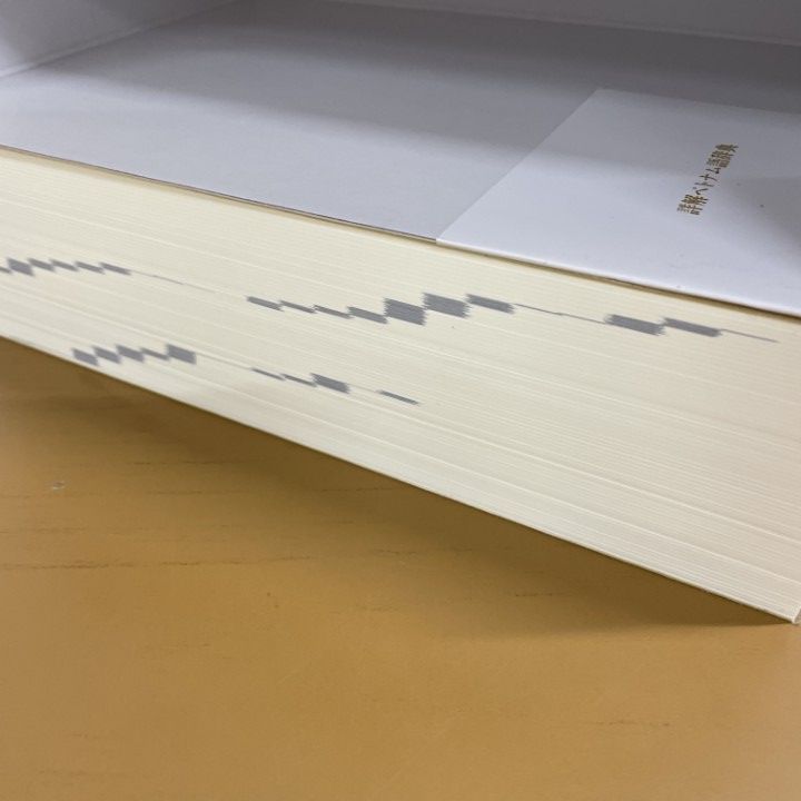 詳解ベトナム語辞典 美品 △01)【1点限り!】詳解ベトナム語辞典/川本邦衛/大修館書店/2019年