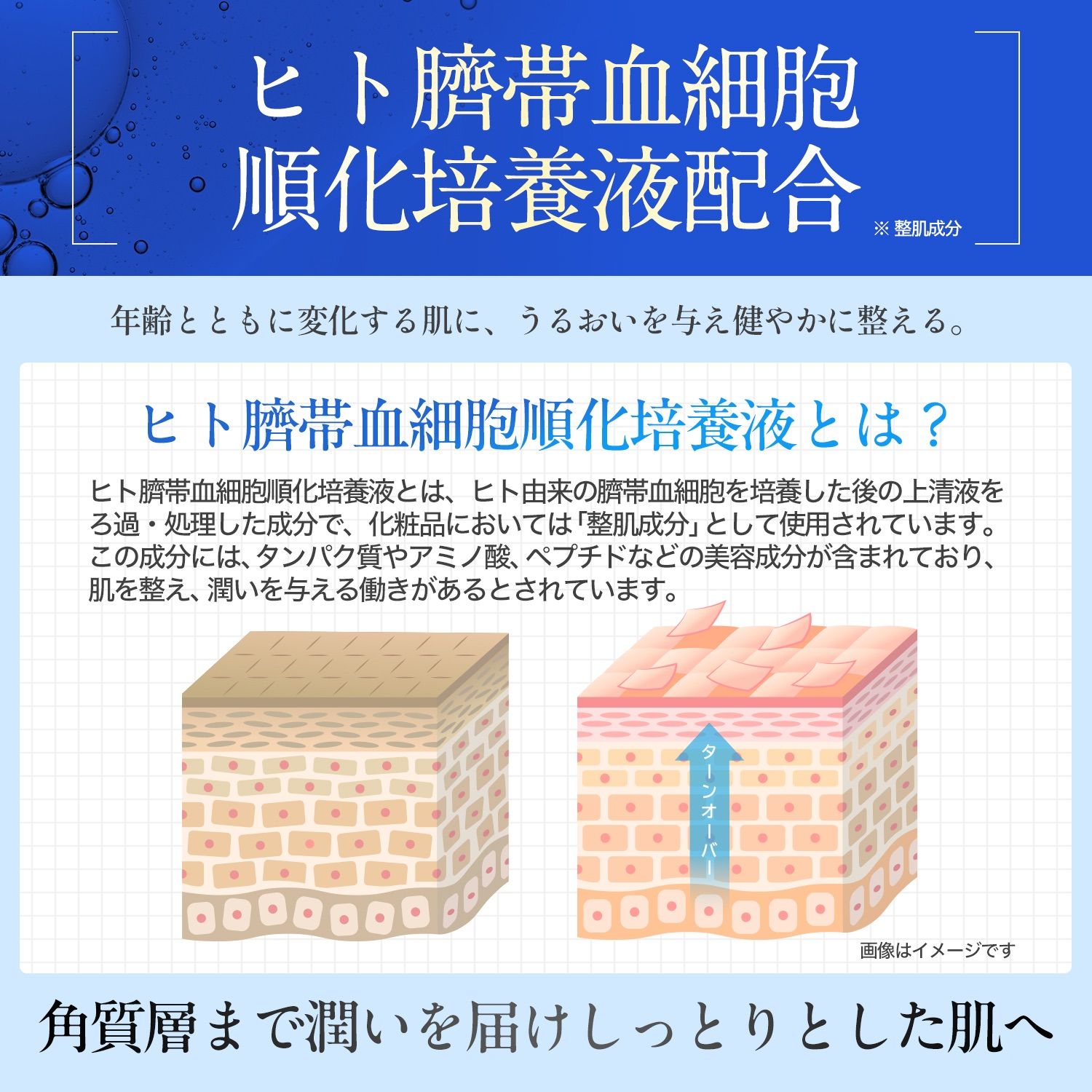 1本 ひめゆりSCプレミアムエッセンス50 ヒト臍帯血細胞順化培養液 美容 