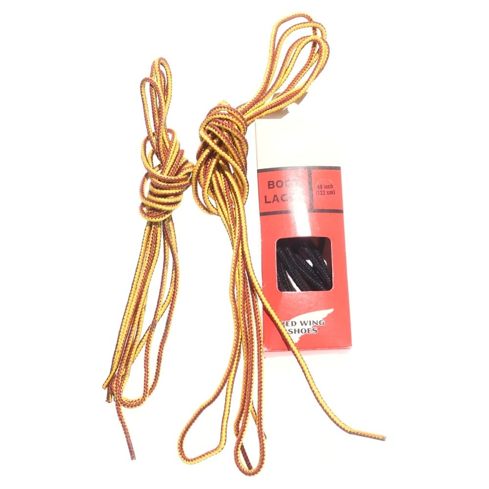 SETTER アイリッシュ