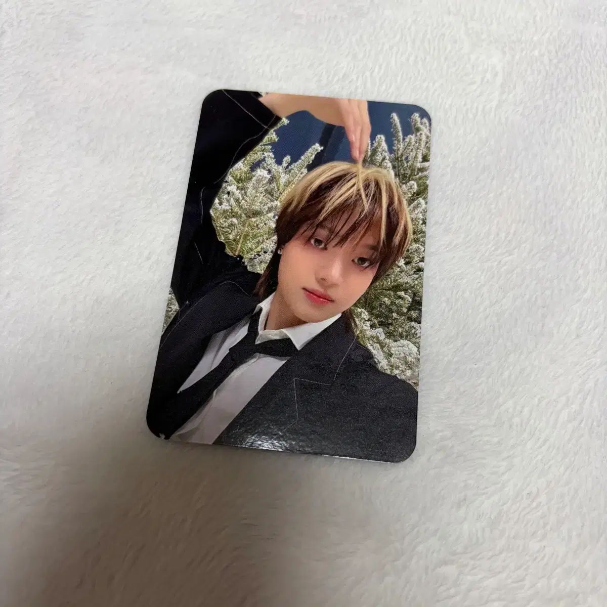 앤팀 ENHYPEN 의주 イジュ ゆきあかり 雪明かり ケイ K ポップ POP 나라 国 ラキドロ Lucky Draw トレカ Trading Card