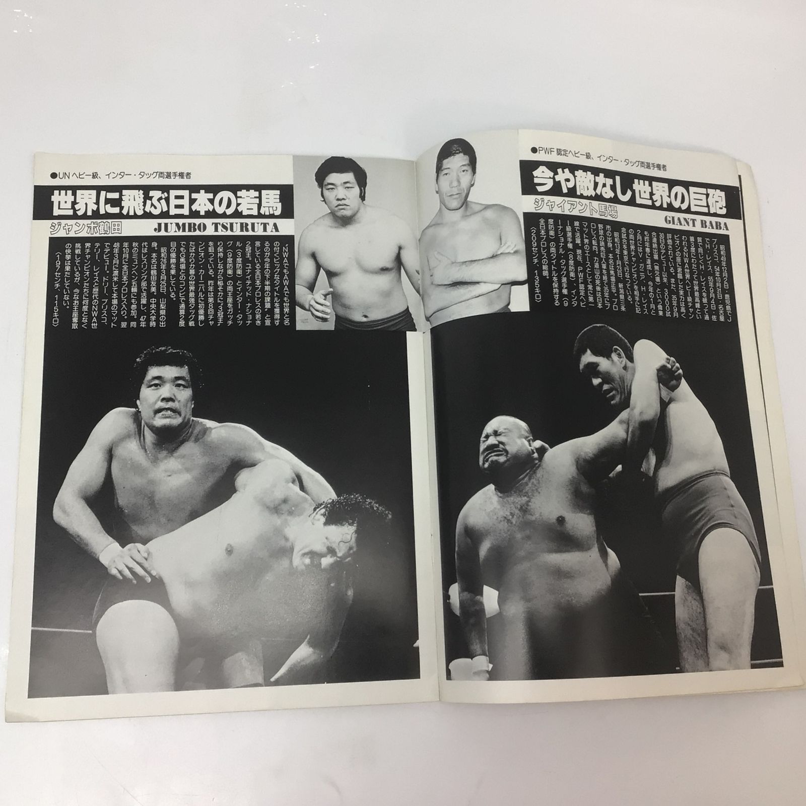 1062 全日本プロレスリング 1981 スーパーアイドル・シリーズ プロレス