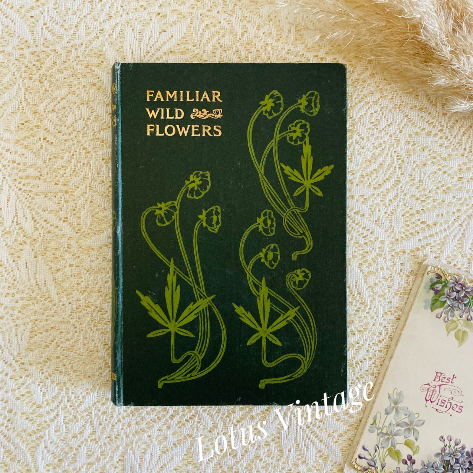 古書 希少 Familiar Wild Flowers 植物図鑑　洋書　イギリス Familiar Wild Flowers 第5巻 イギリスのアンティーク植物図鑑