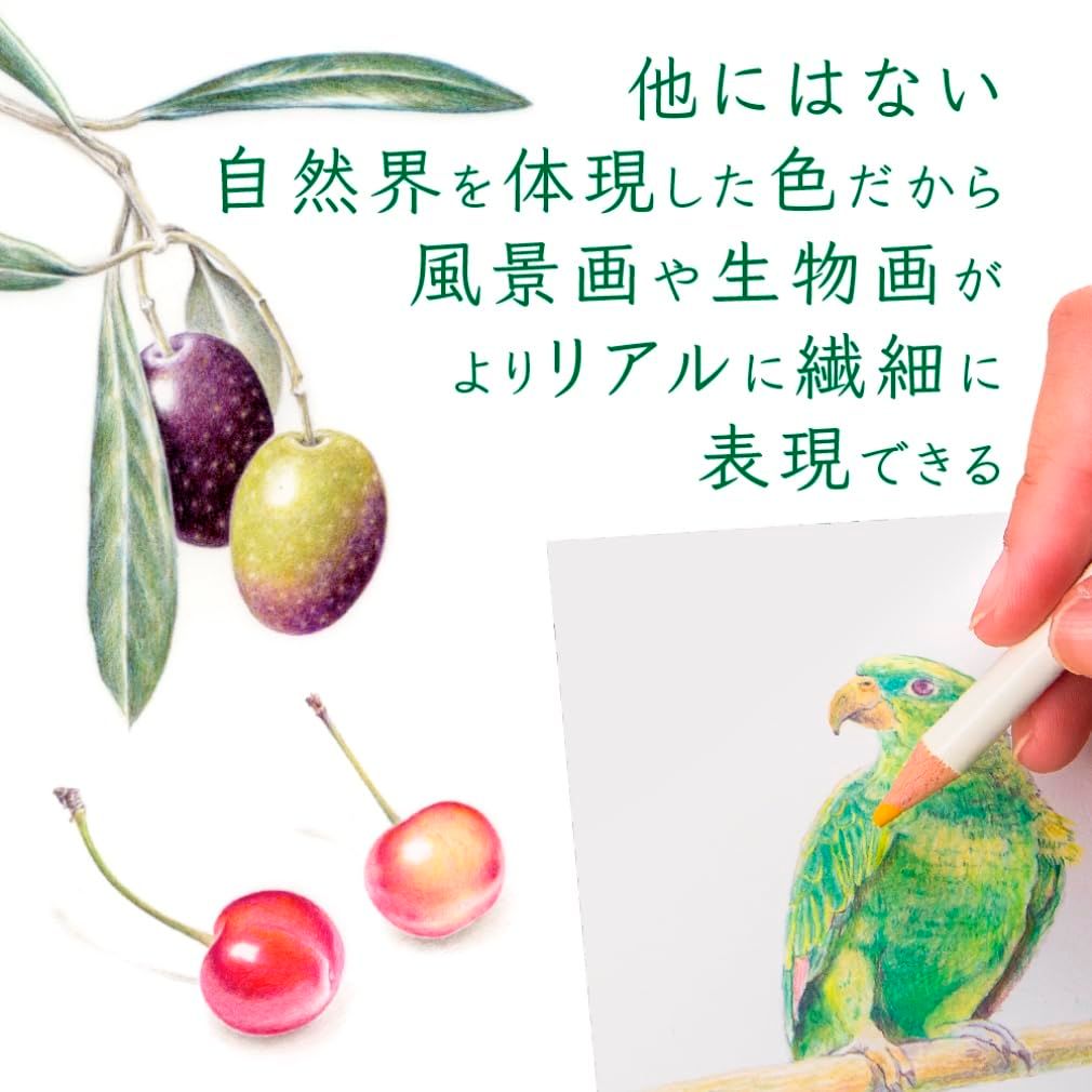  トンボ鉛筆 色鉛筆 ブック型 色辞典 全色セット あらゆる自然の色を集めた CI セット その他 ボールペン