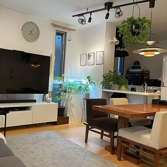  植物育成用送風機 植物用サーキュレーター ダクトレール式 ライティングレール用 ダクトレール対応 本体スイッチ付き 観葉植物 根腐れ防止 空気循環 XDD 682 m 22 b 009 a 9 その他 キッチン 食器