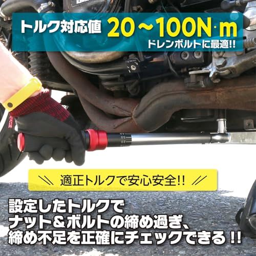 エマーソン Emerson トルク調整が簡単らくらくなトルクレンチ ロックリング式 差込角 9 5 mm 3 8インチ 20 100 N m 高精度±3 ギア 検査証明書付き 自動車 バイク 自転車 整備 修理工具 作業工具 ac 30 abb