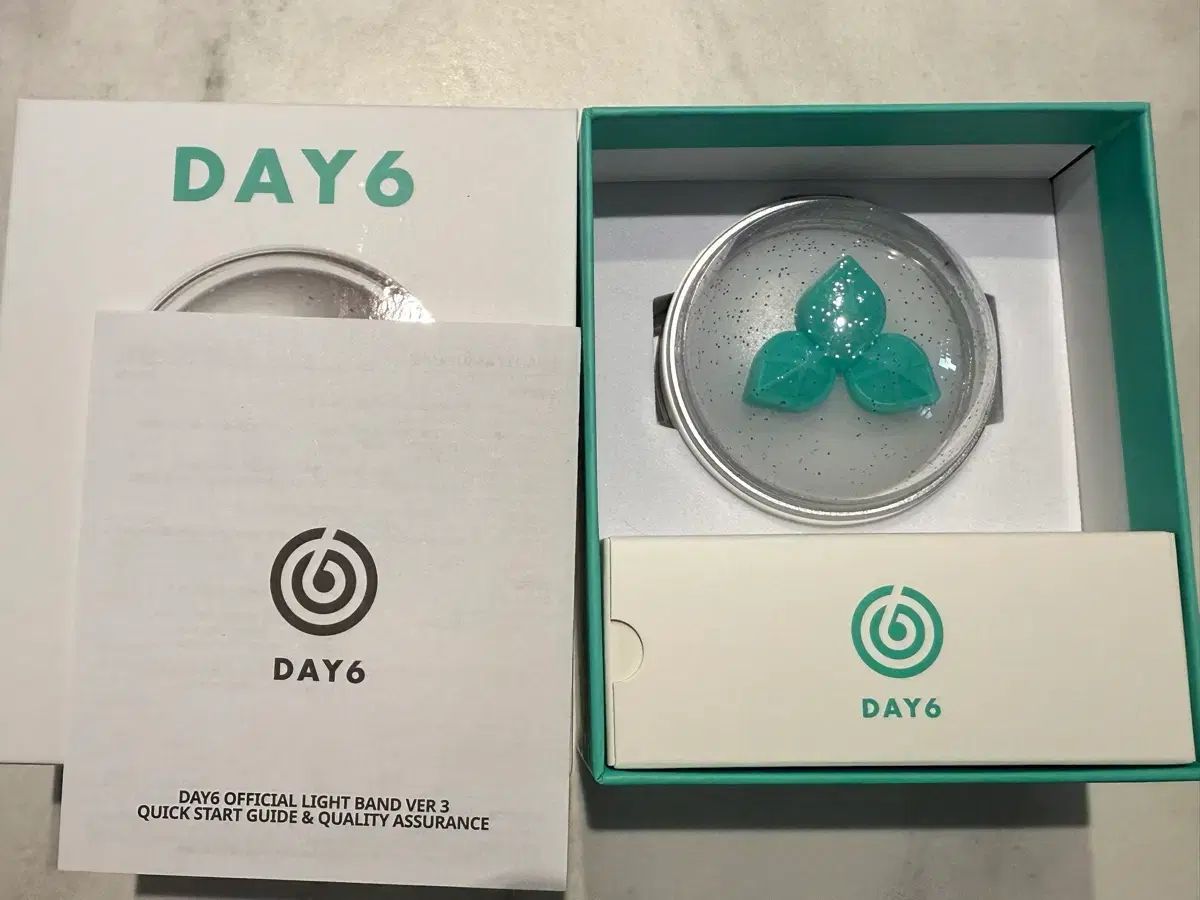 DAY6（デイシックス） OFFICIAL LIGHT BAND Day6 ペンライト ver 3