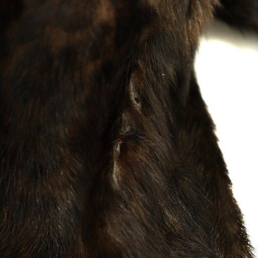 エミリオプッチ EMILIO PUCCI ゴートファー レオパード総柄 ノーカラー  