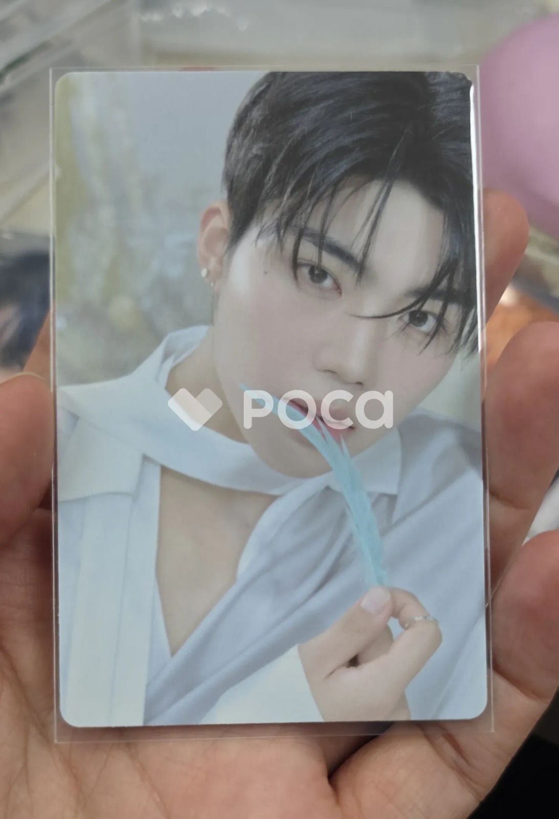 ZEROBASEONE パクゴヌク BLUE PARADISE ポップアップストア ランダム