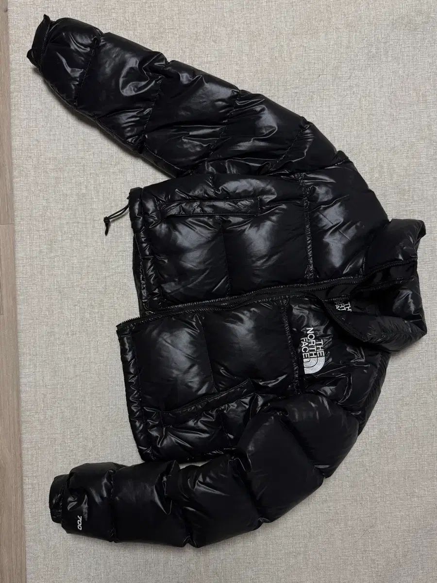 THE NORTH FACE ザノースフェイス 700 ブラック ショートダウン 光沢 海外モデル