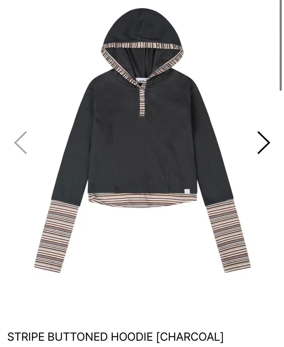 秋山 澪 ストライプ ボタン WHO Tシャツ チャコール 2 サイズ