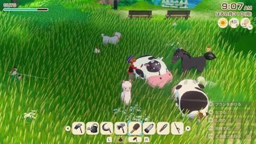 牧場物語 Let s! 風のグランドバザール Switchs