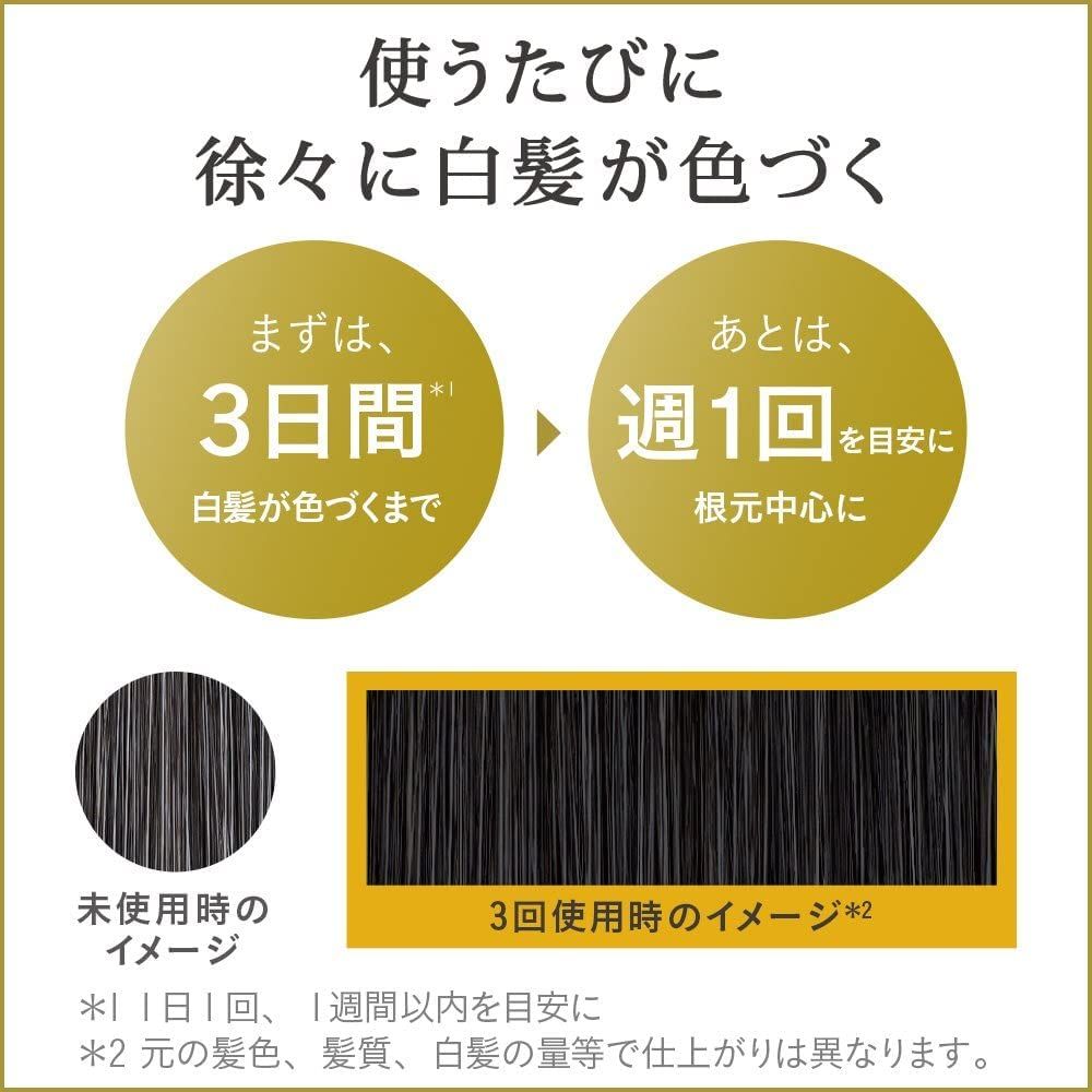 リライズ 白髪用髪色サーバー リ・ブラック (自然な黒さ) ふんわり