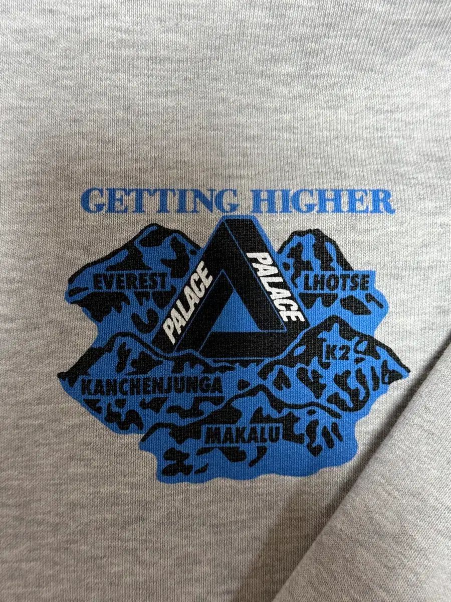 PALACE パレス GETTING HIGHER WHO 版 XL グレー