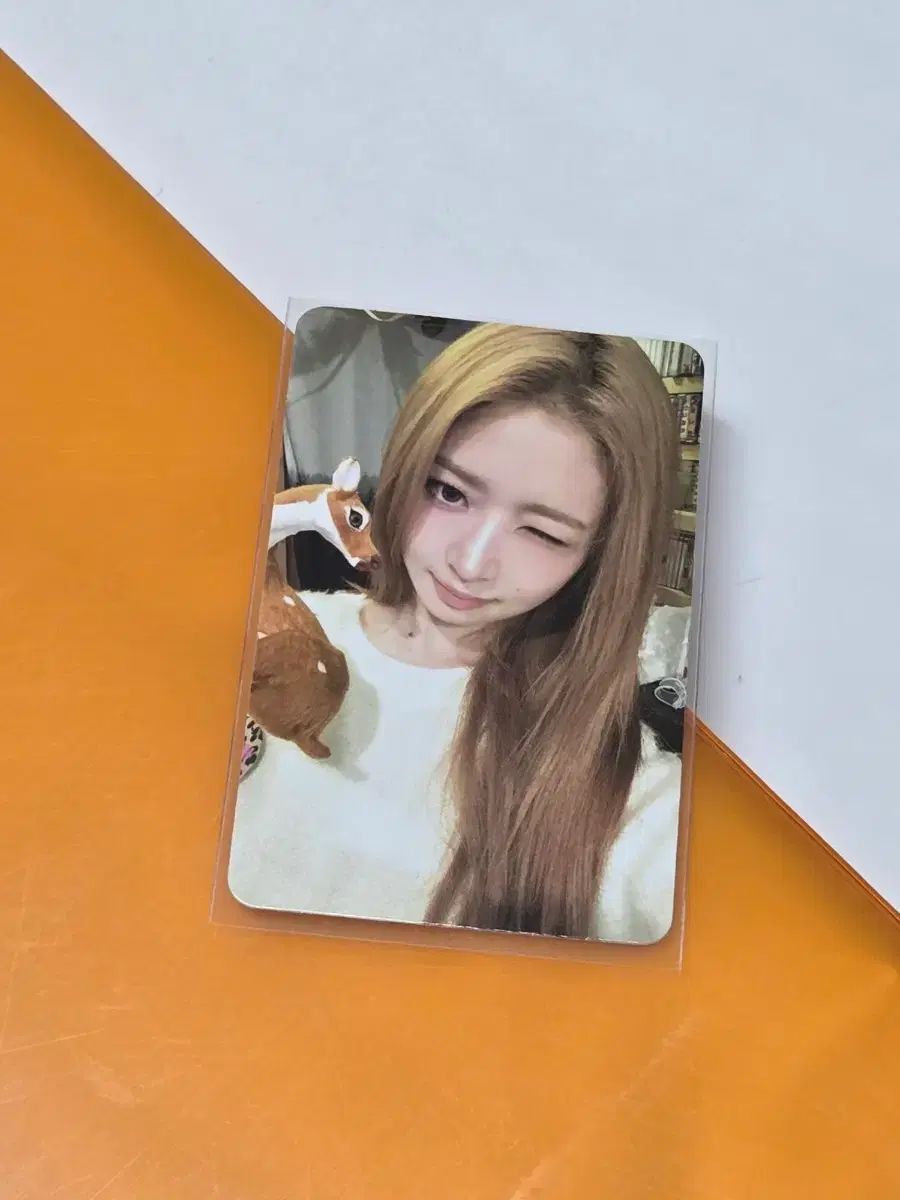 IVE レイ 2025 歌謡大典 公開番組 サノク トレカ